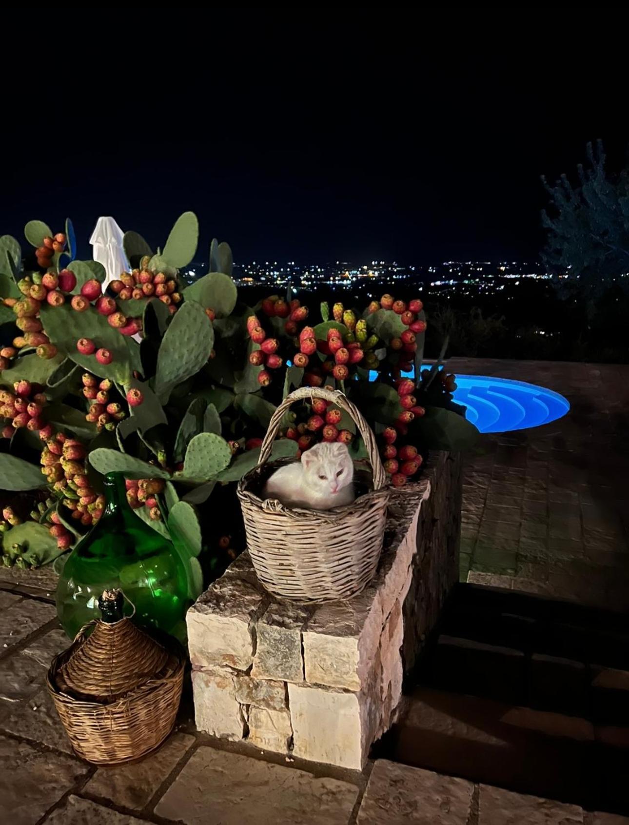 Bed and Breakfast Dimora Le Ginestre Adults Only Фазано Экстерьер фото